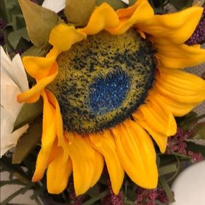 Meet your Posher, Mandy